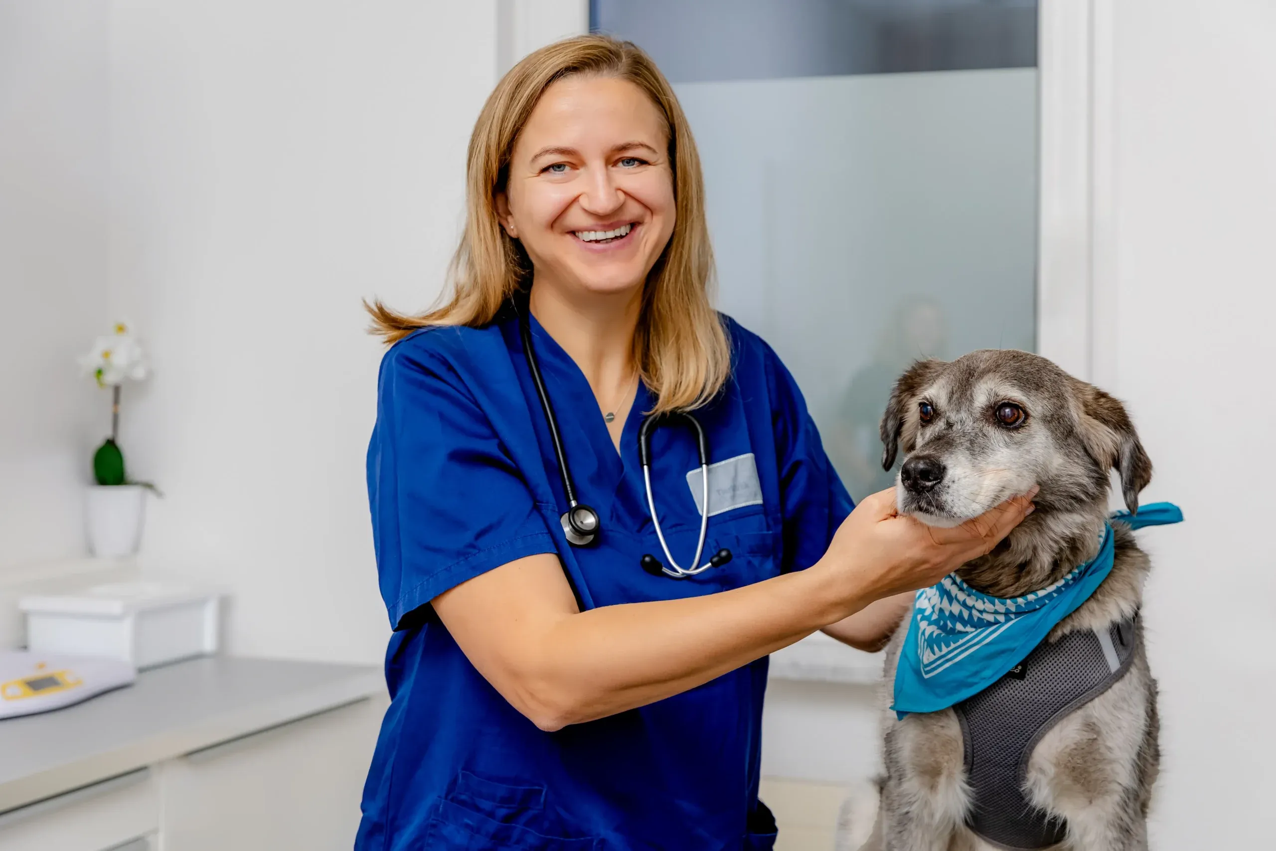 Dr. Christine Mayer